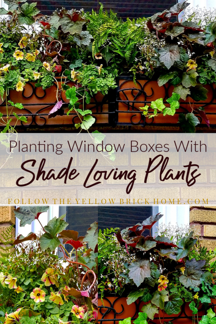 follow the yellow brick home - planting window boxes with shade
