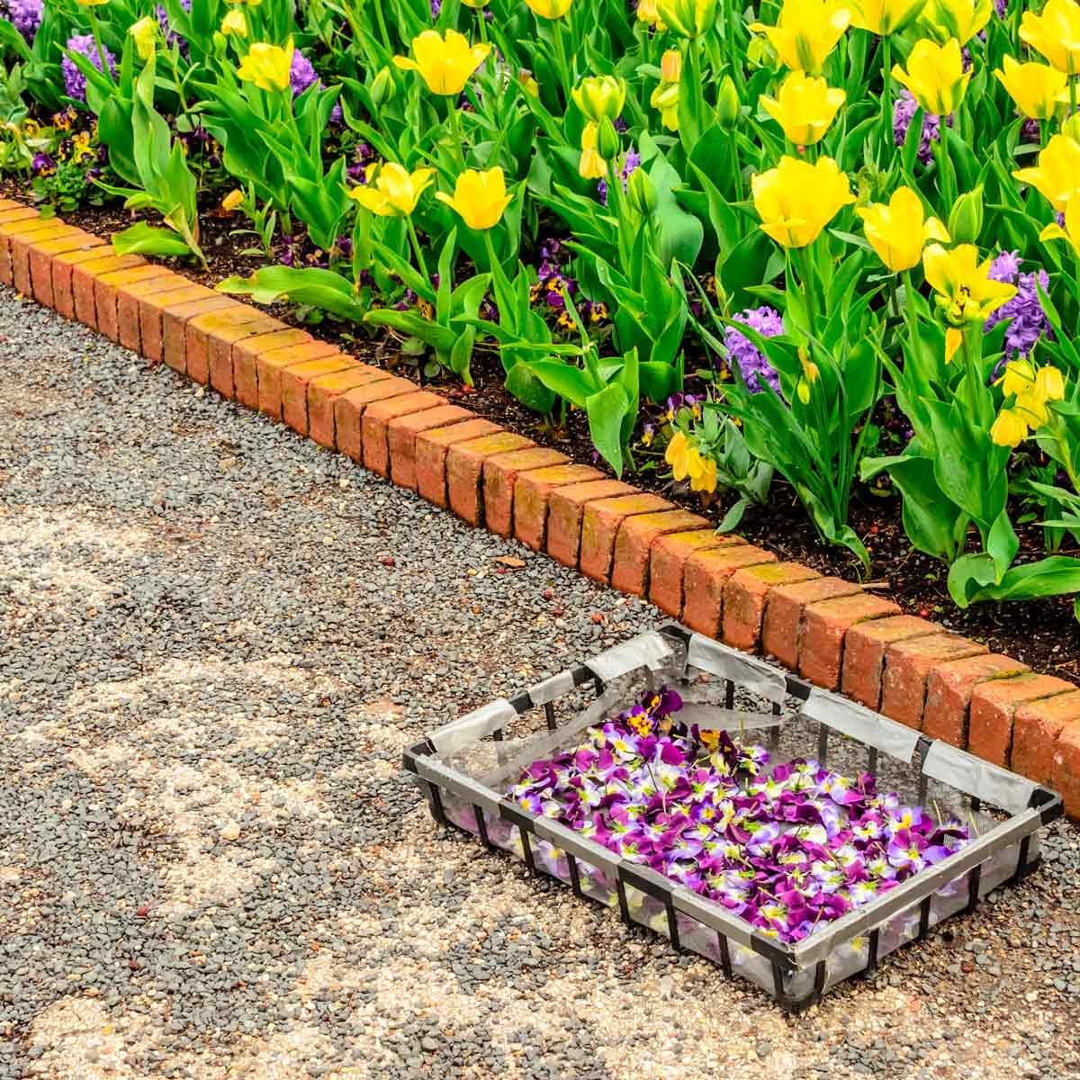 5 favorite flower bed edging ideas | family handyman