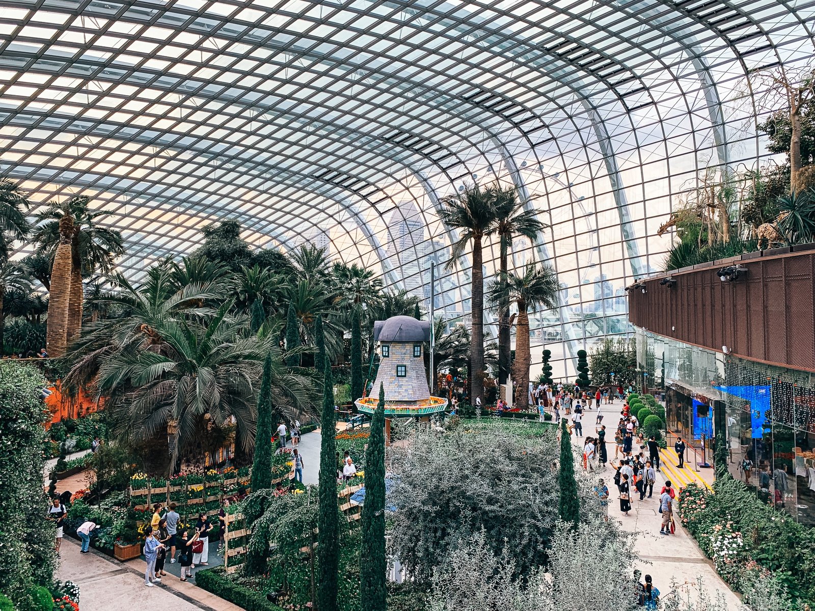 singapur-flower-dome-gardens-by-the-bay-1 - coconut sports