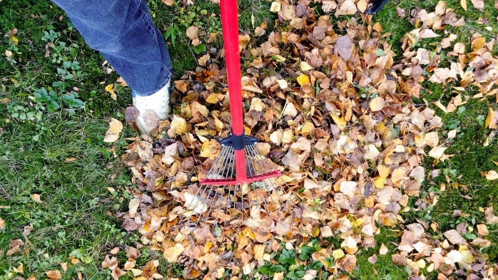 your checklist for fall yard cleanup - salisbury landscaping