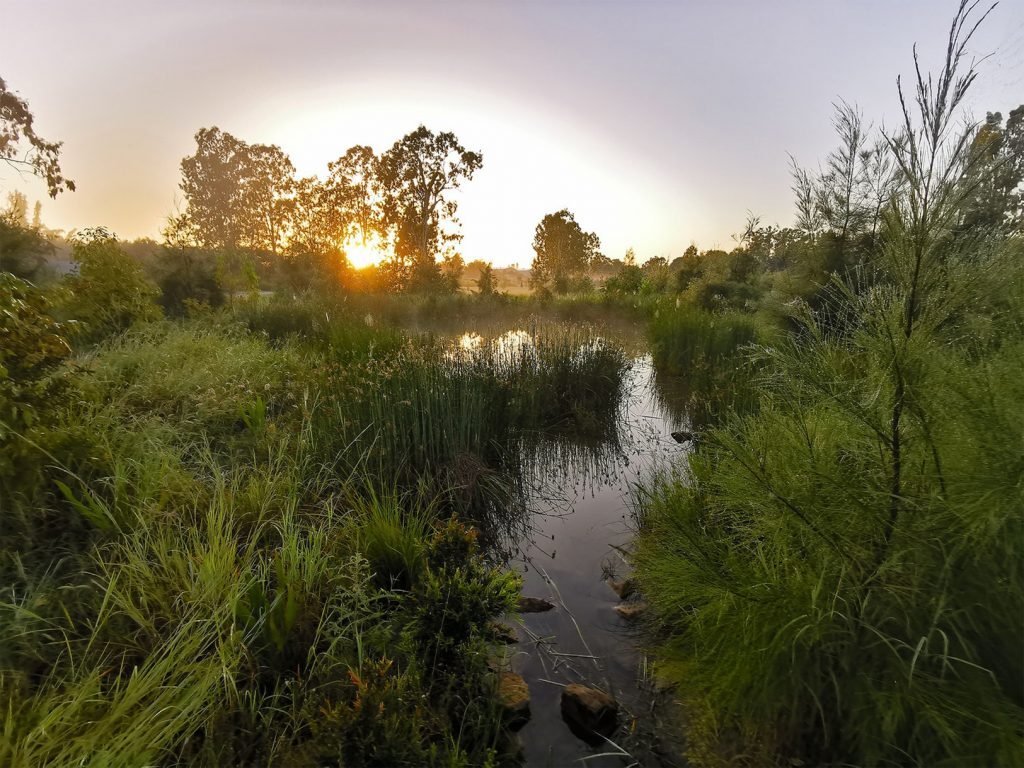 queensland landscape architecture awards 2020 winners