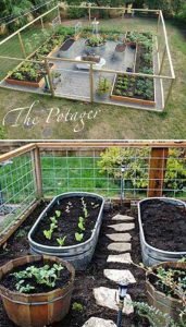 Read more about the article DIY Vegetable Garden Design for Your Home Garden