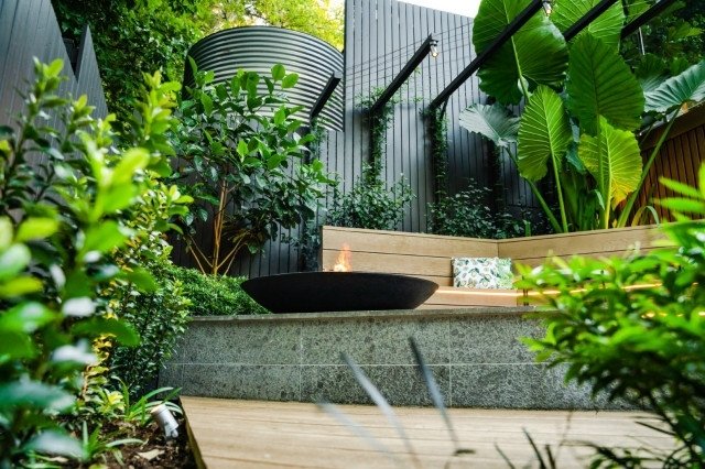 Alderley Courtyard - Tropical - Brisbane - By Define with Landscape Yard North Brisbane