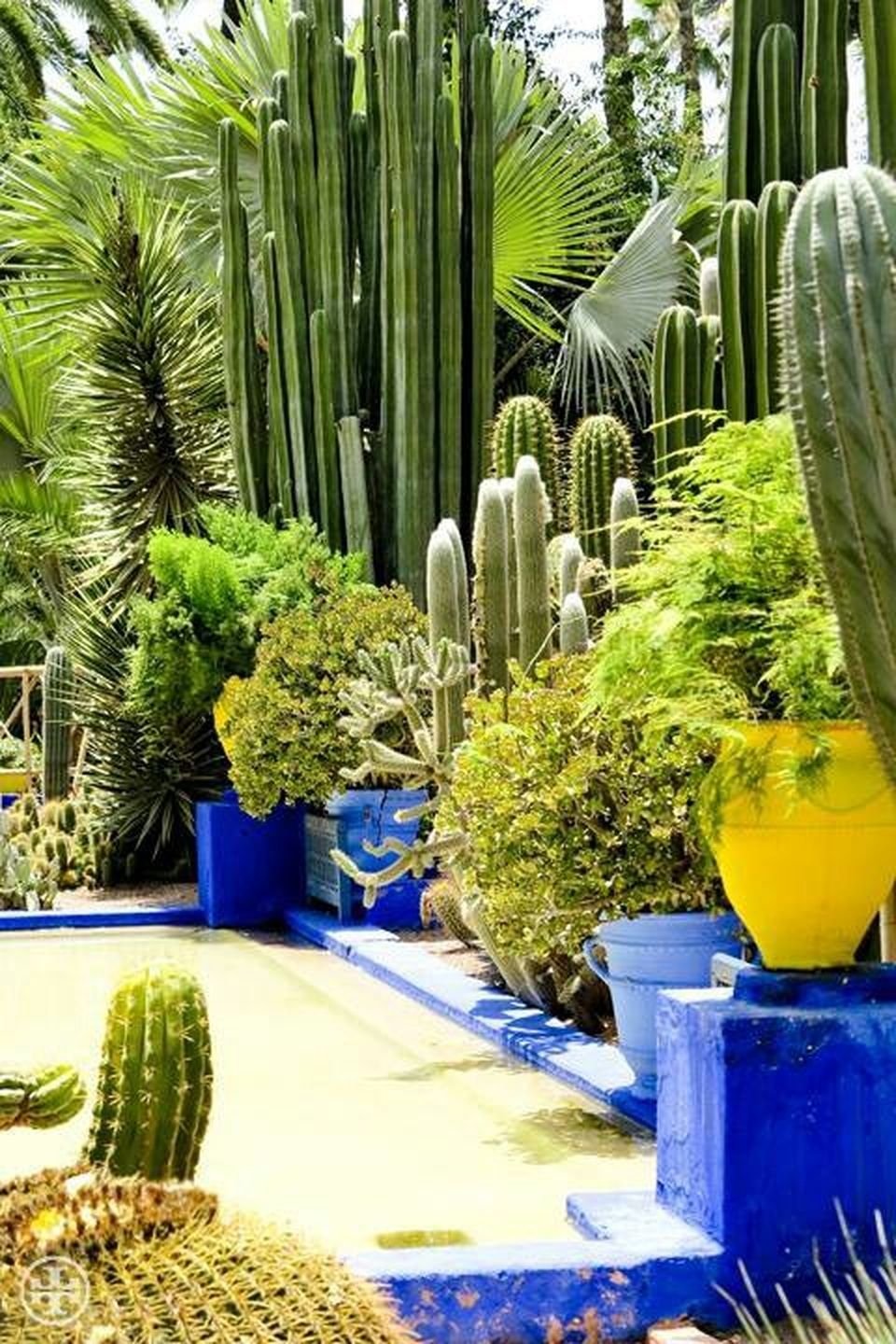 Stunning Desert Garden Ideas For Home Yard 64 - Amzhouse regarding Desert Landscape Yard Ideas