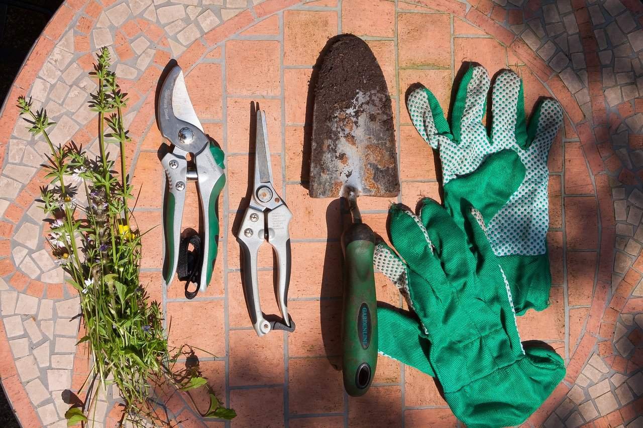 You are currently viewing Balcony Garden Gift Ideas