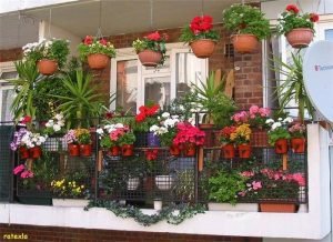 Read more about the article Balcony Garden Ideas Kerala