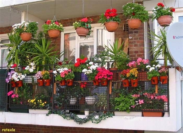 You are currently viewing Balcony Garden Ideas Kerala
