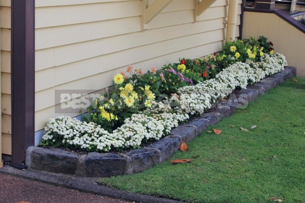How To Arrange A Raised Flower Bed - Best Landscaping Ideas regarding Patio Flower Bed Ideas