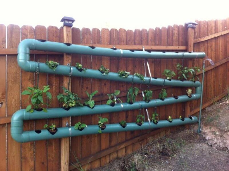 Easy DIY Aquaponics Review - Worth Trying?