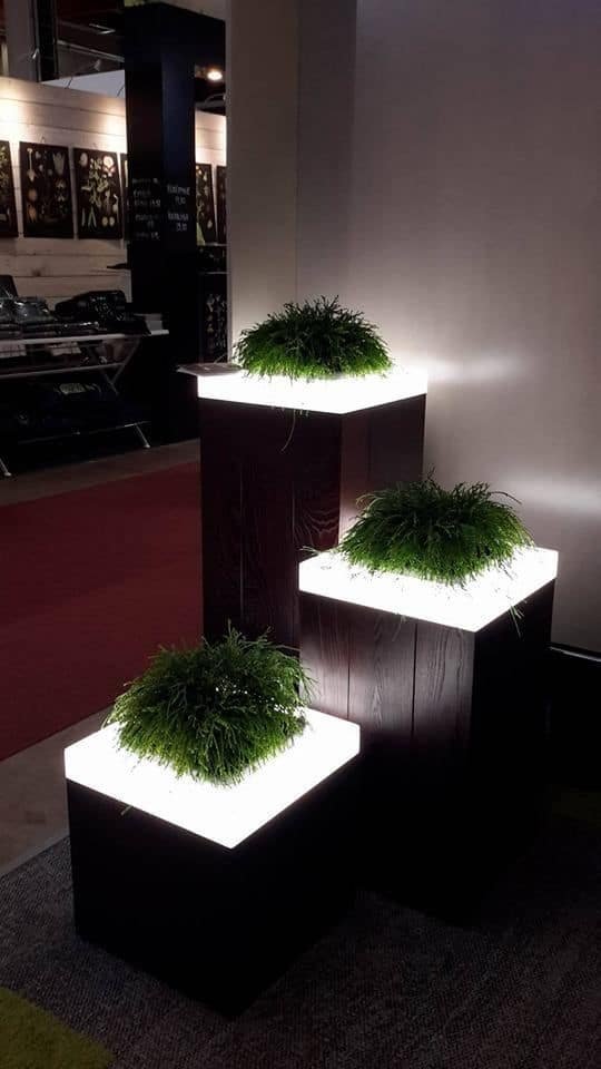 17 illuminated planters: how to make a glowing romantic backyard