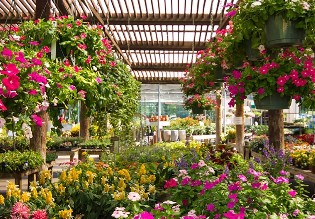 garden center or nursery near me