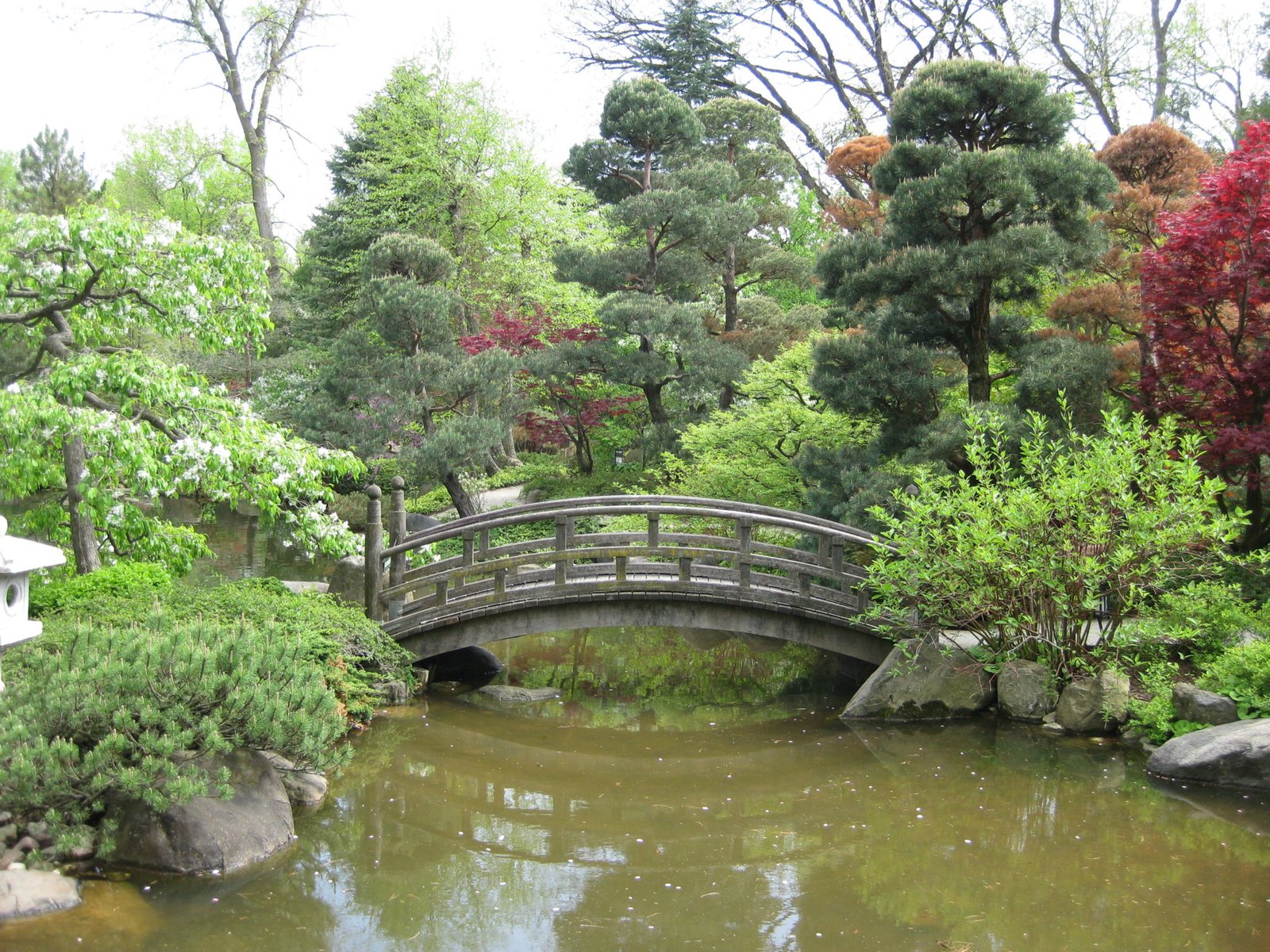 anderson japanese gardens - rotary botanical gardens