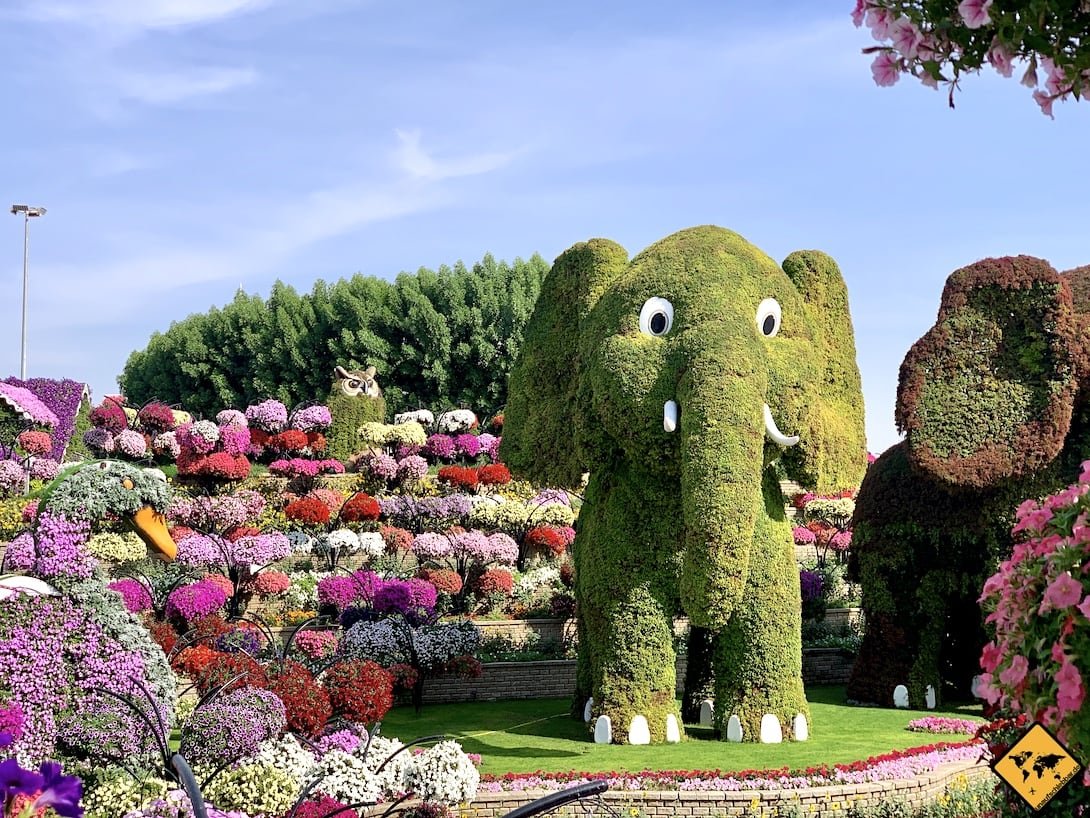 miracle garden dubai - 6 dinge, die du vor deinem besuch wissen musst