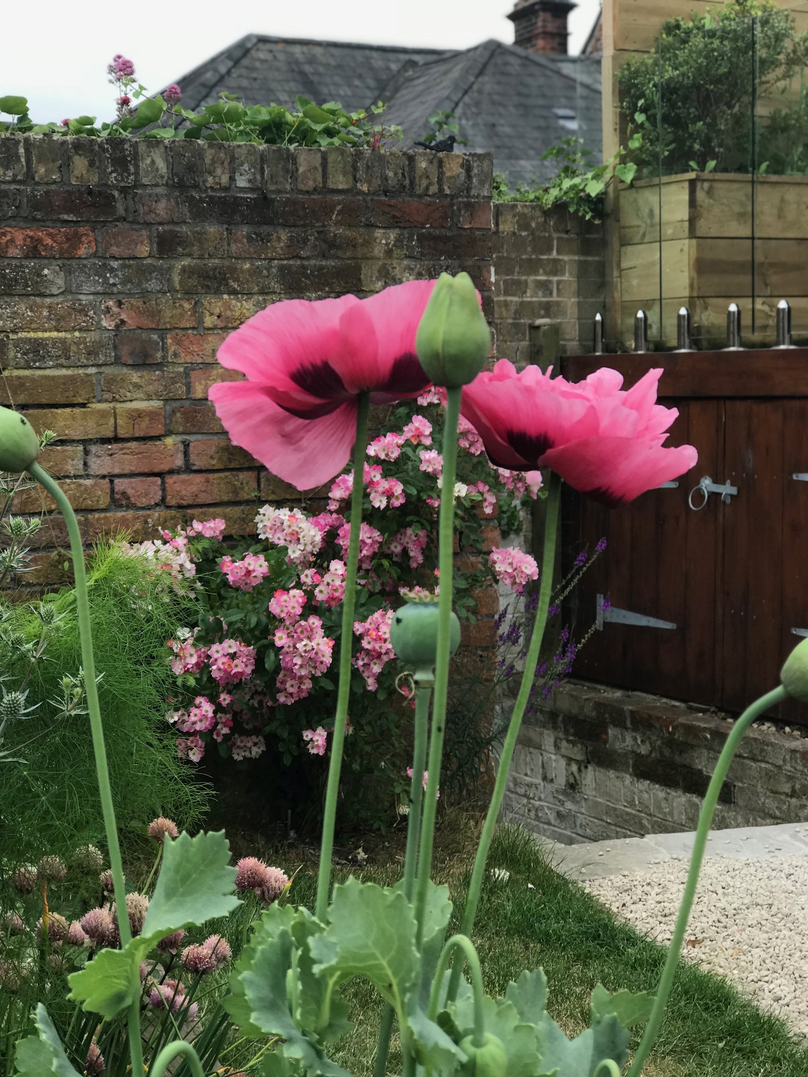 friday flowers: isle of wight | an eye for detail