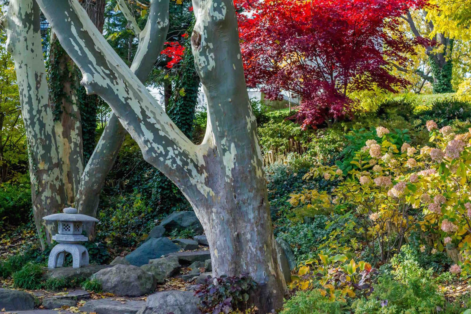your specialty gardens | caring for 850 acres of buffalo's olmsted