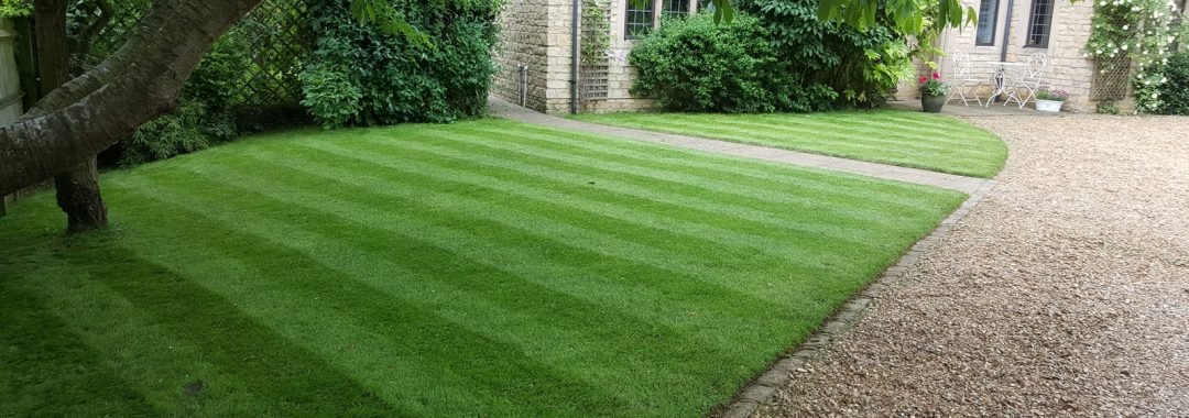 garden lawn renovation kettering - briggs and knowles ltd