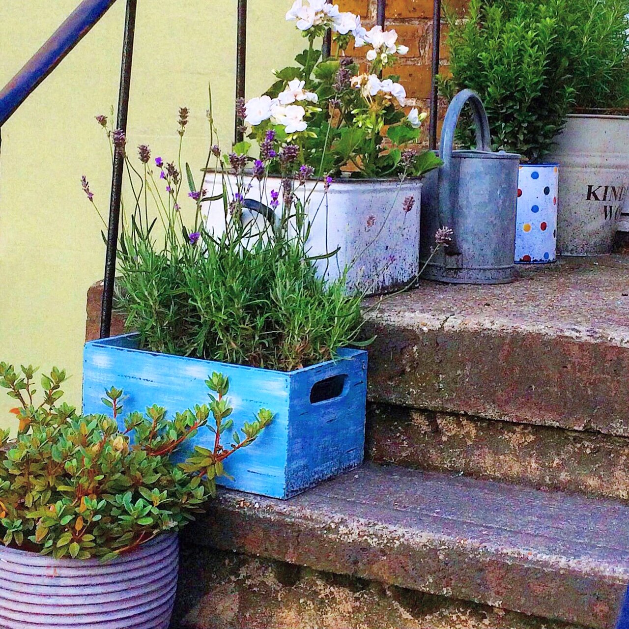 love your pots! 25 inspiring & practical ideas for container gardens