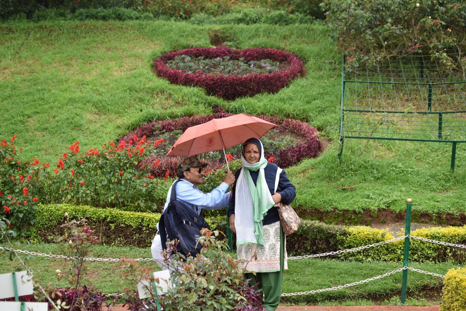 ooty rose garden » blog august 2019