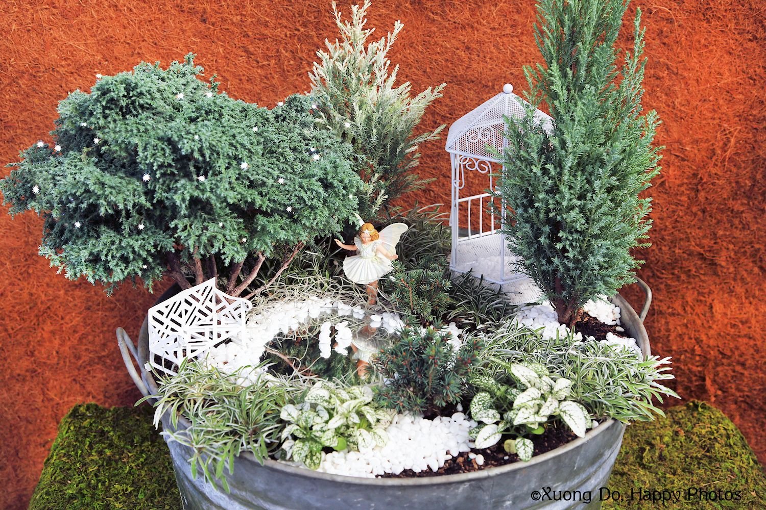 fairy gardens: preparing them for winter plus book giveaway
