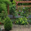 landscape design services | lafayette & broussard, la | native sun