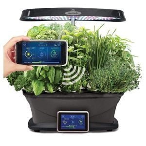 Top Indoor Automatic Herb Gardens | 2019 devices and ...