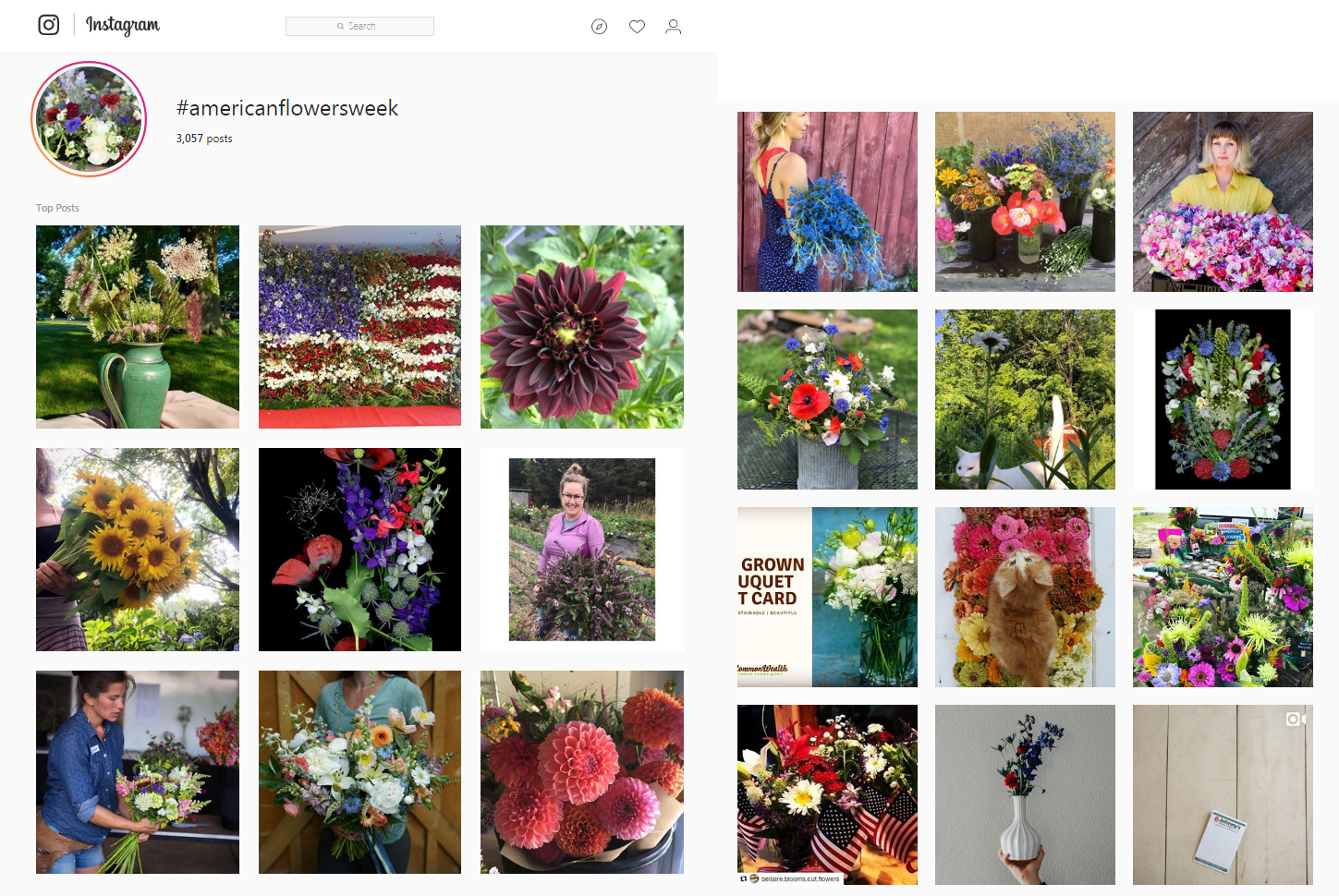 debra prinzing » post » episode 381: a year in review – slow flowers