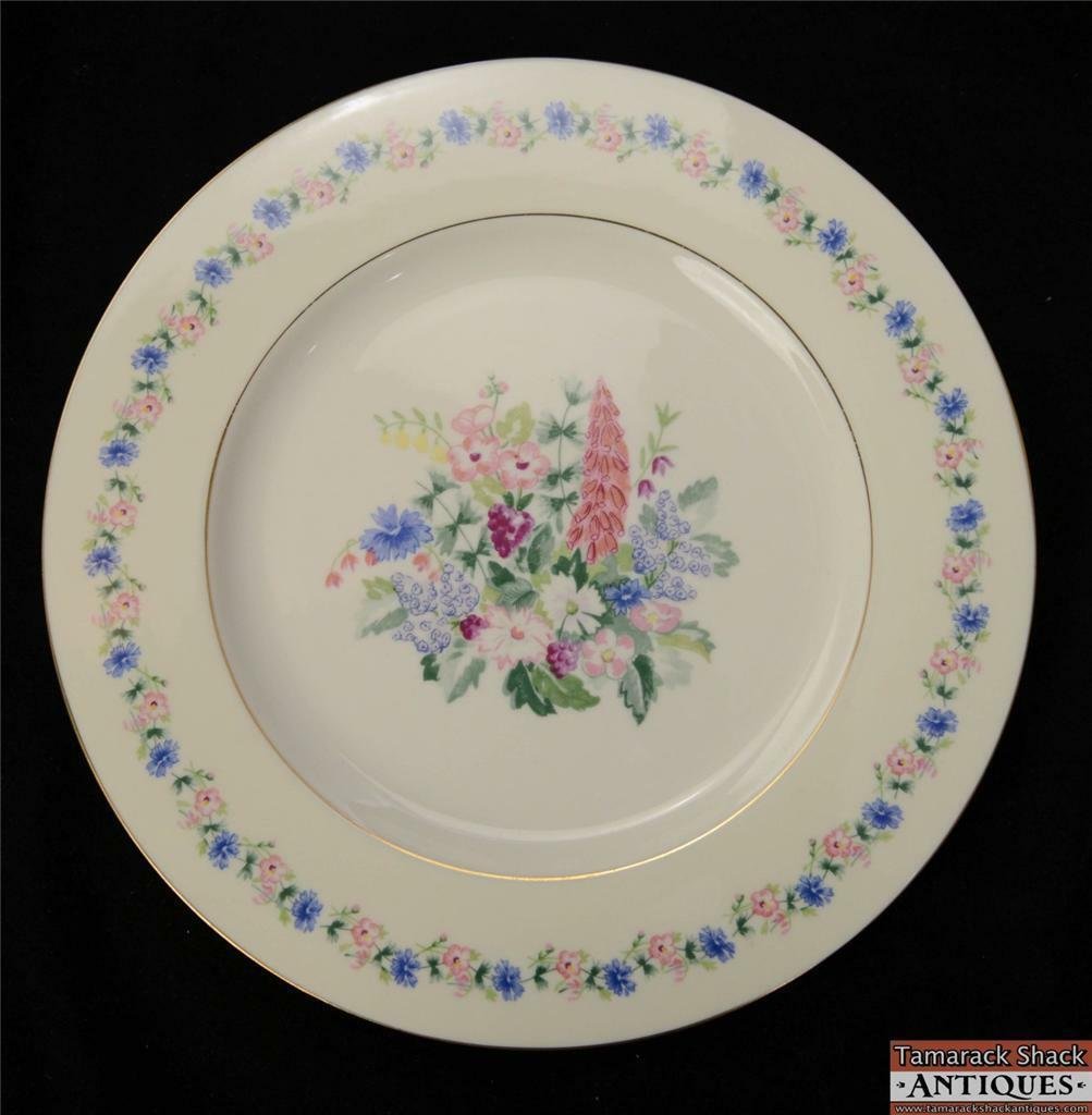 60pc theodore haviland new york usa china set fox glove service 12 blue pink