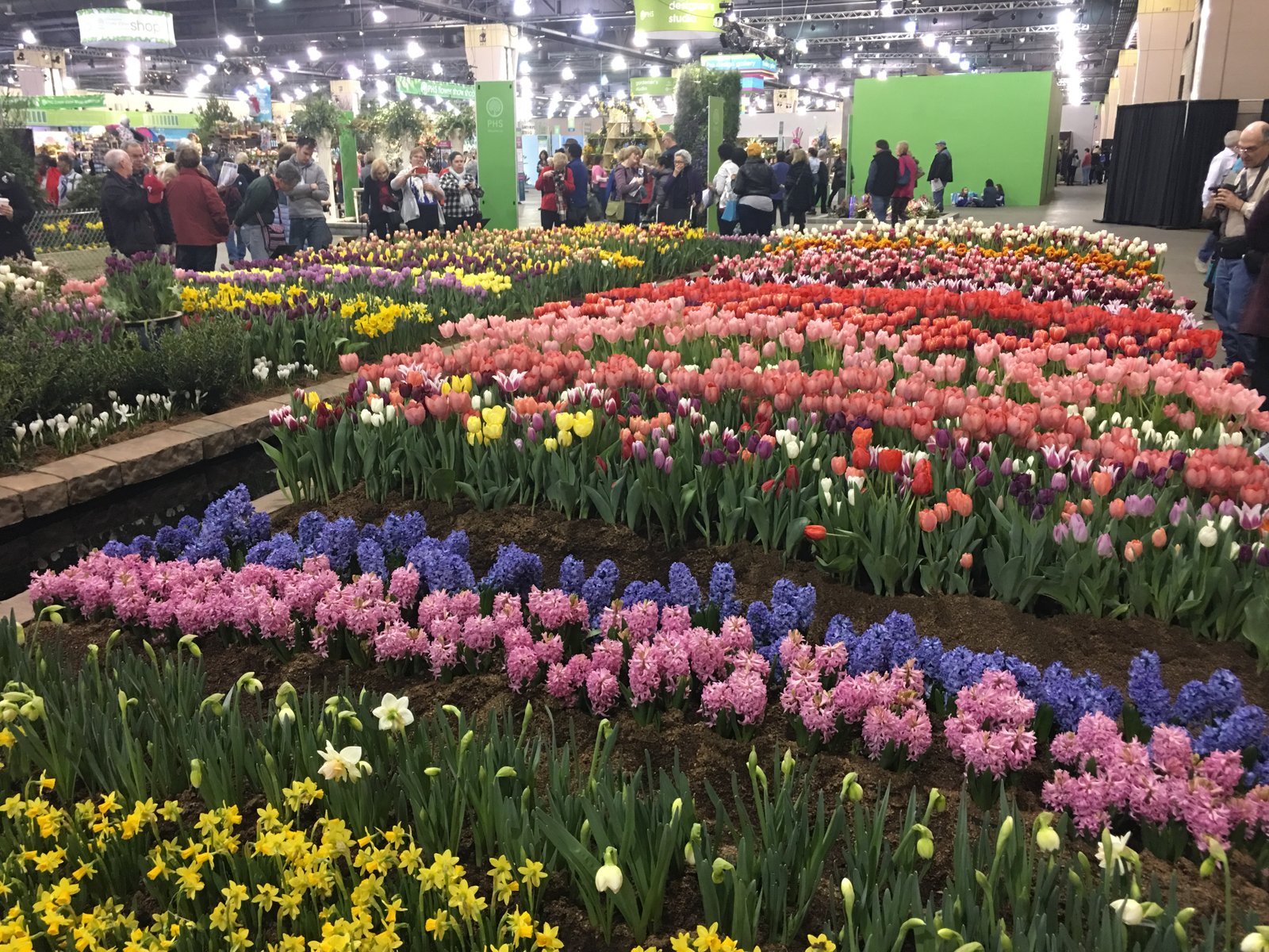 from winter storm to taste of spring as philadelphia flower show