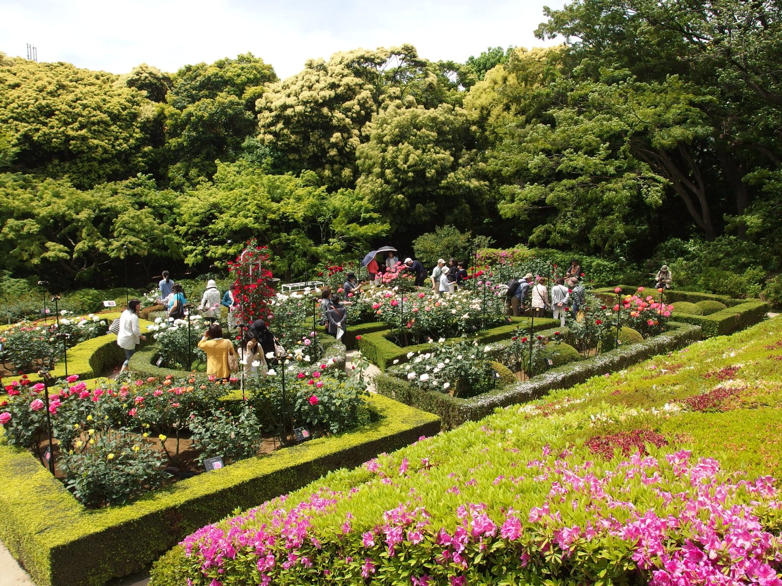 6 tokyo flower festivals to visit this spring | tokyo cheapo