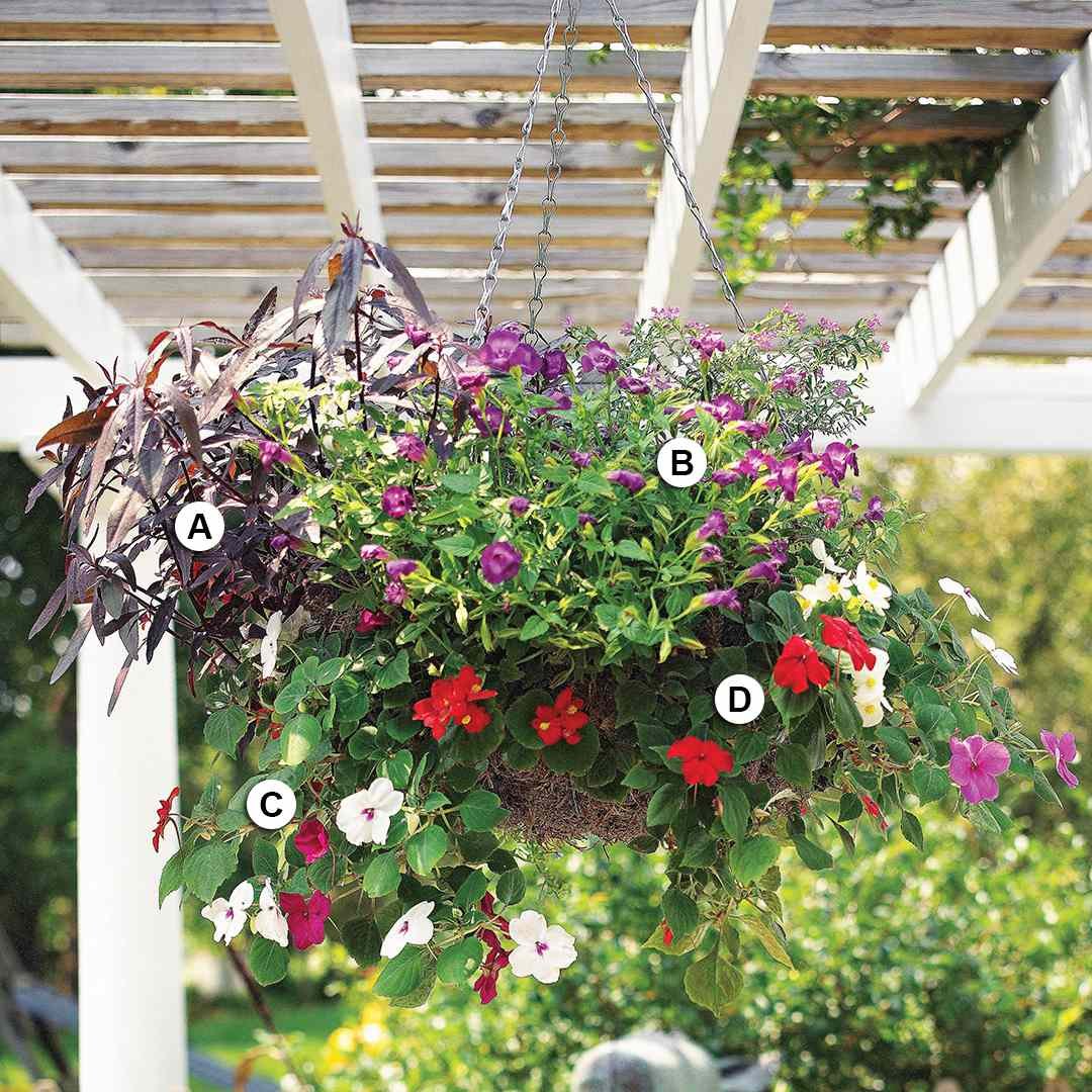 27 hanging baskets you'll want to plant immediately