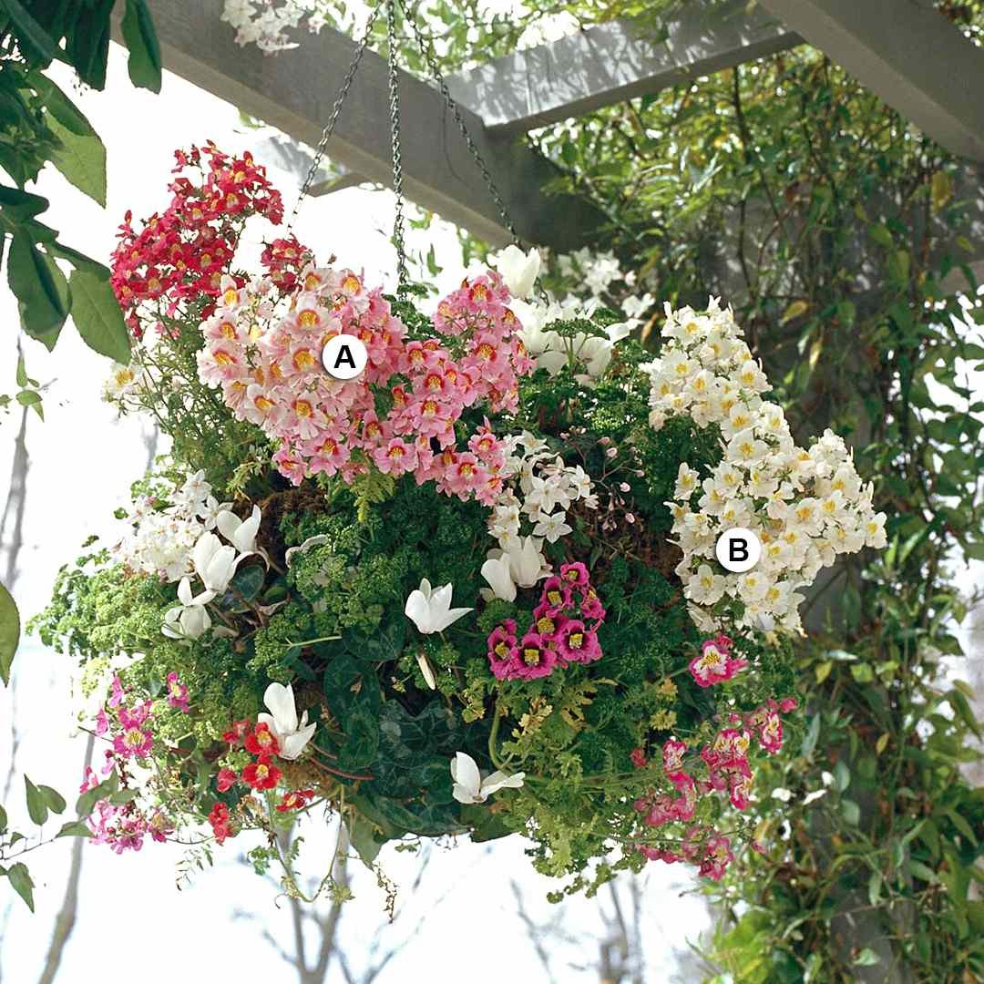27 hanging baskets you'll want to plant immediately