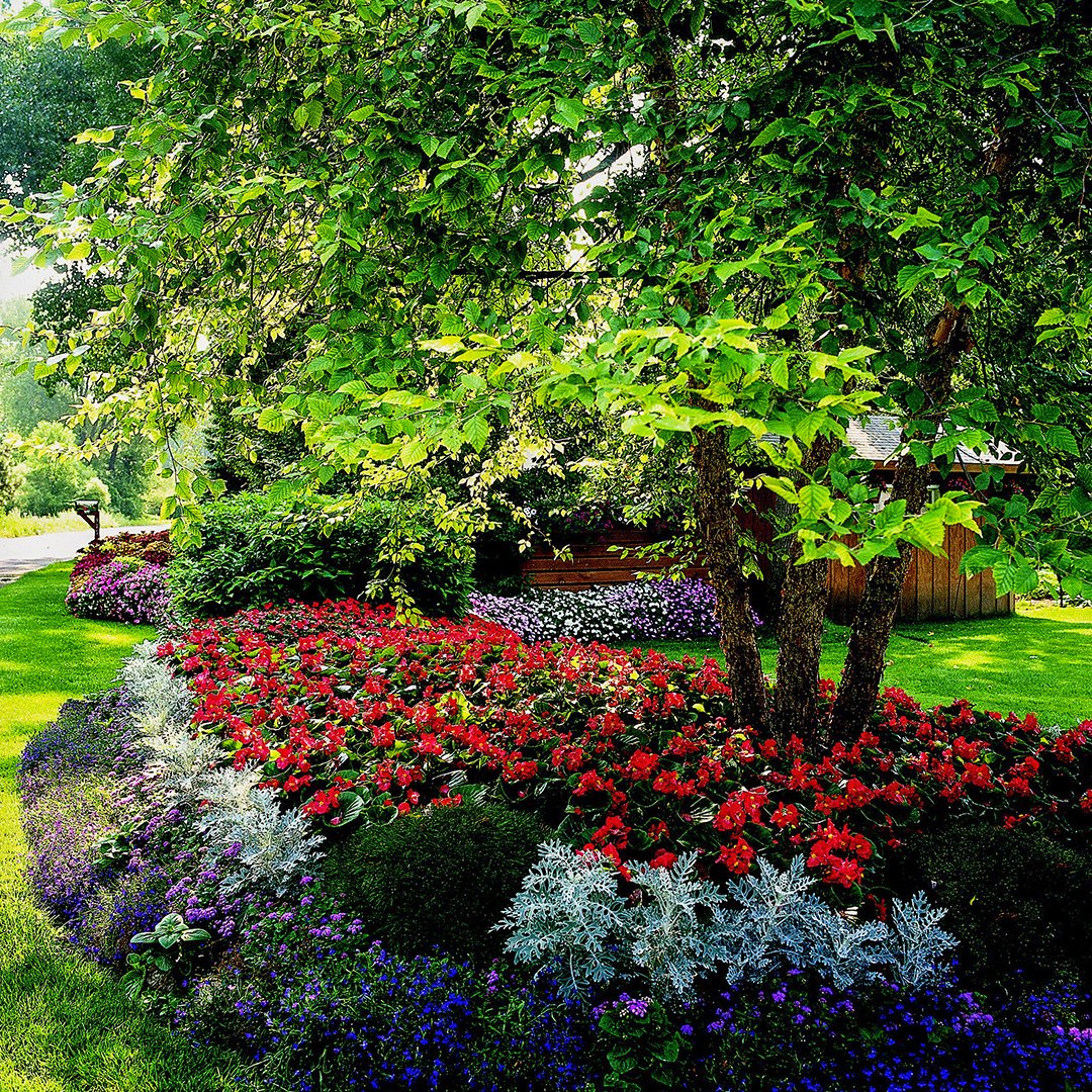 garden plan for partial shade | better homes & gardens