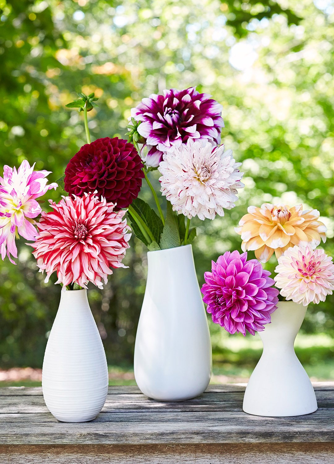 grow a cutting garden | better homes & gardens