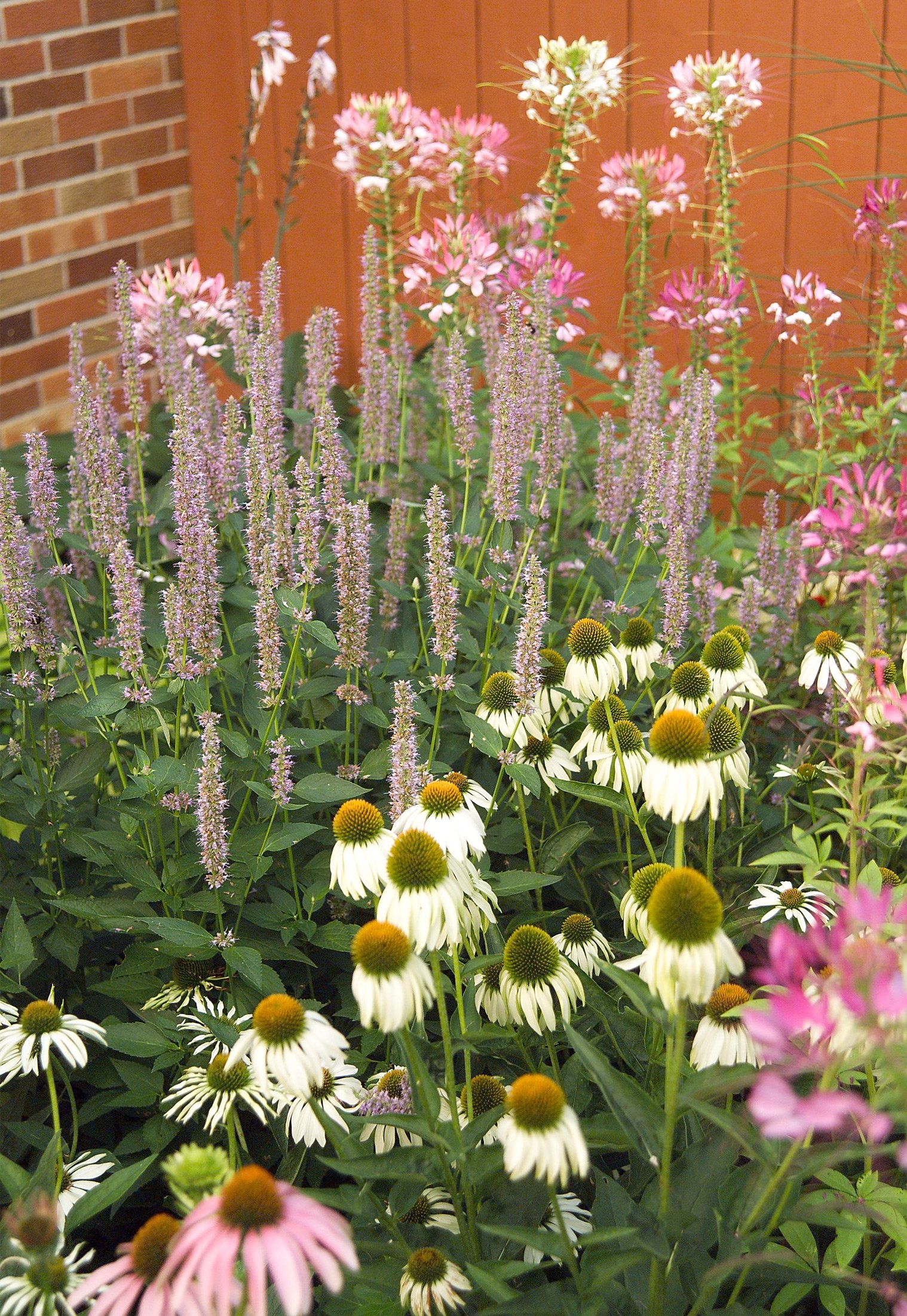 6 steps to a no-work cottage garden | better homes & gardens
