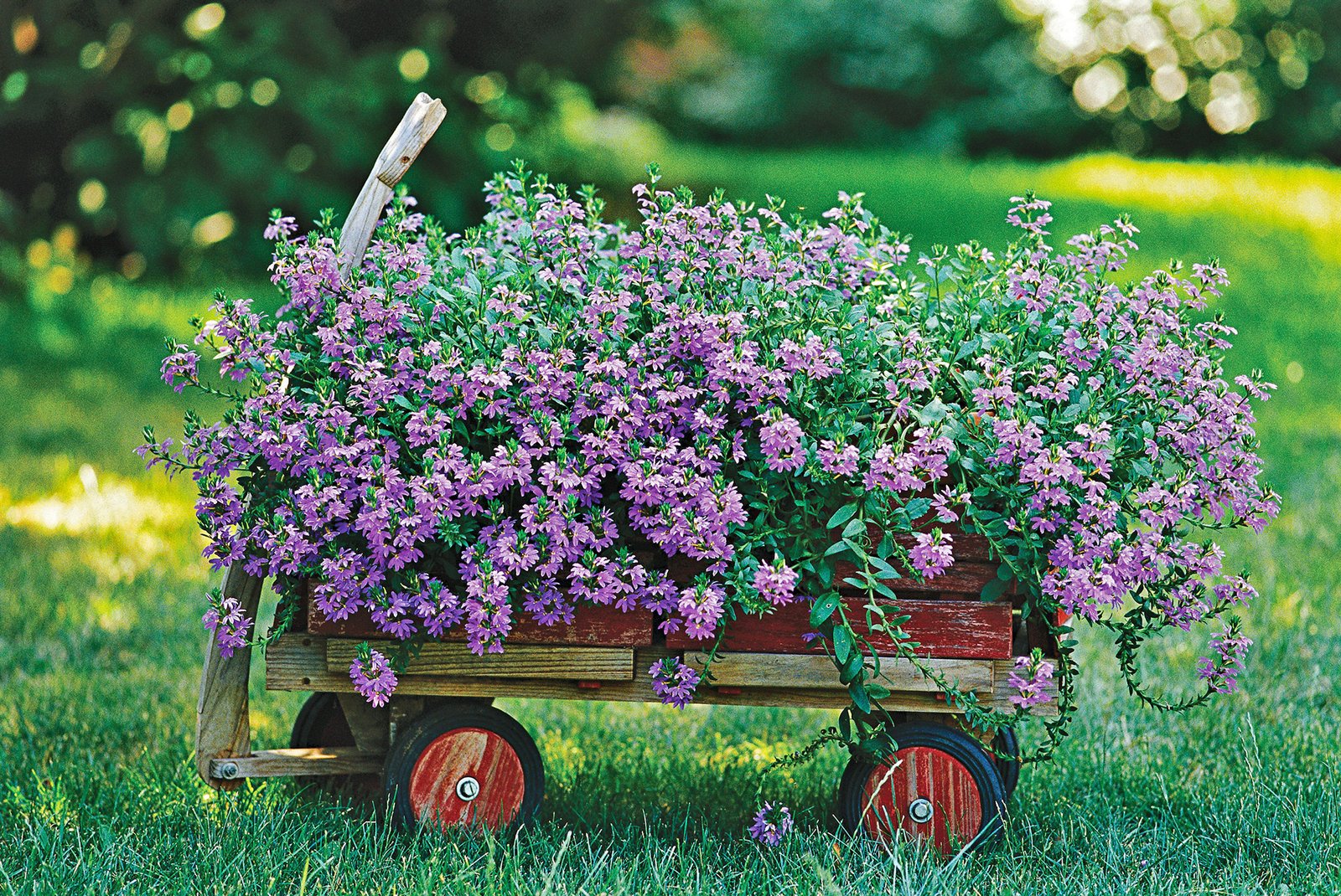 6 steps to a no-work cottage garden | better homes & gardens
