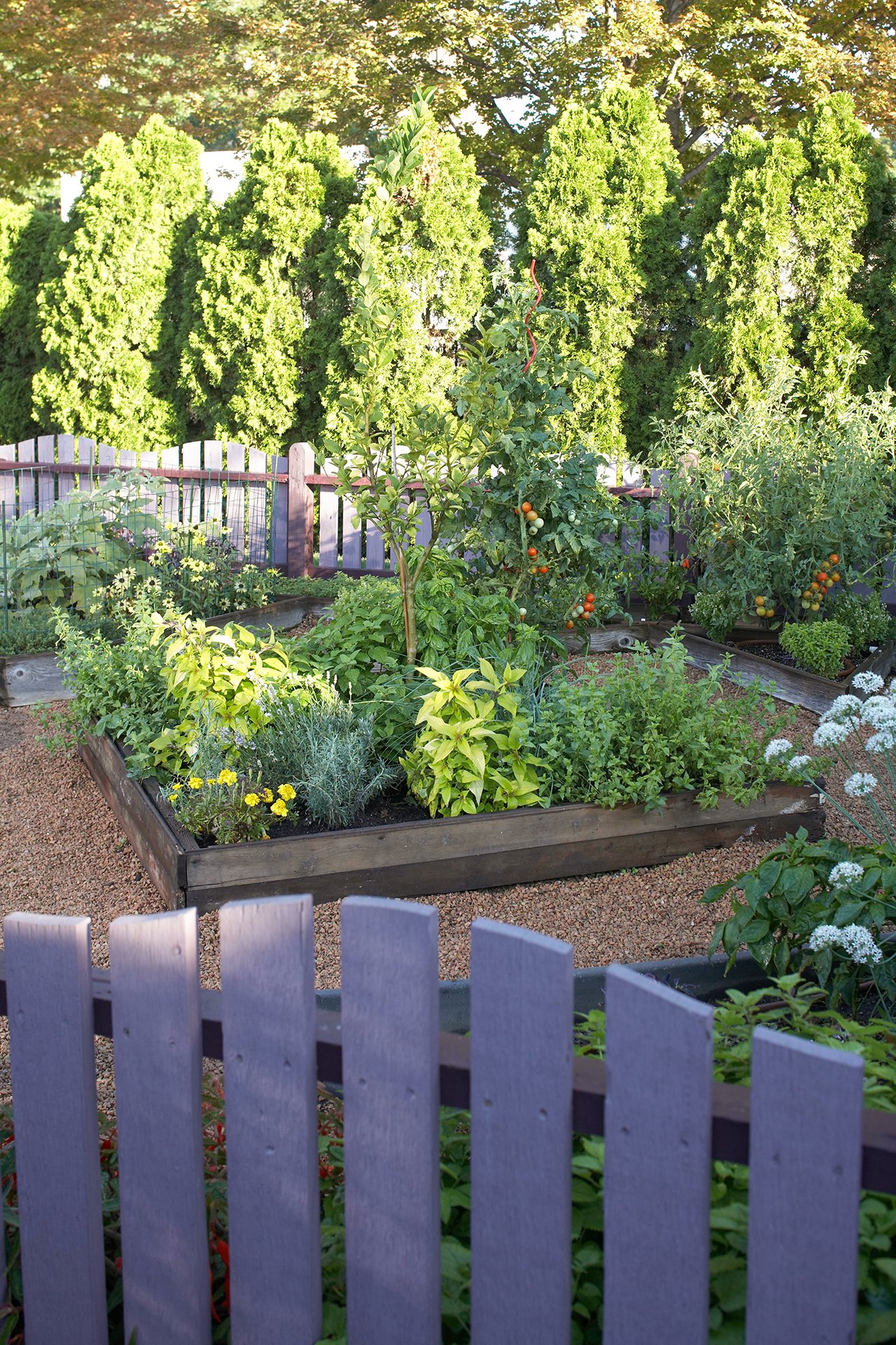 how to start a beginner vegetable garden from scratch | better homes