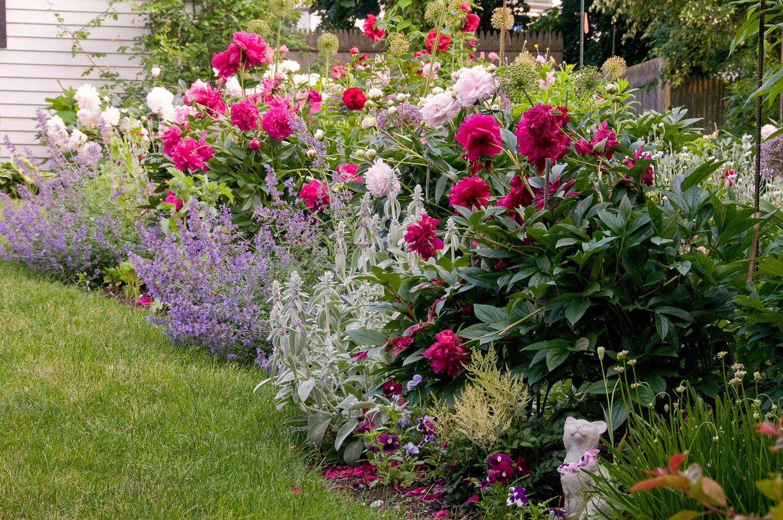 6 steps to a no-work cottage garden | better homes & gardens
