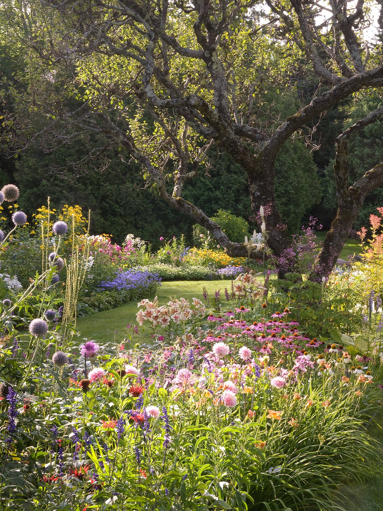 visiting the test garden | better homes & gardens
