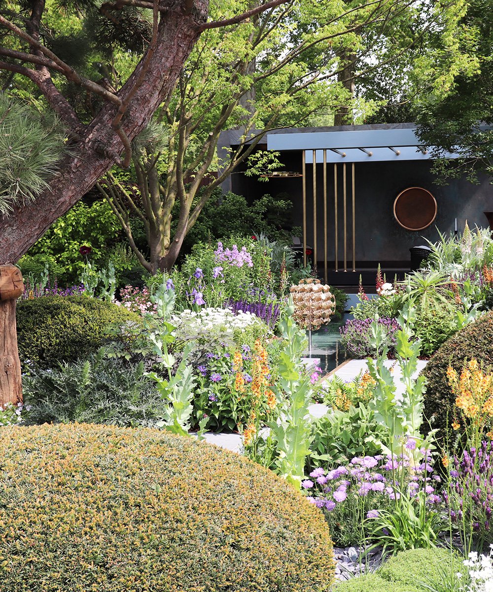 chelsea flower show winners: gold, silver gilt, silver and bronze