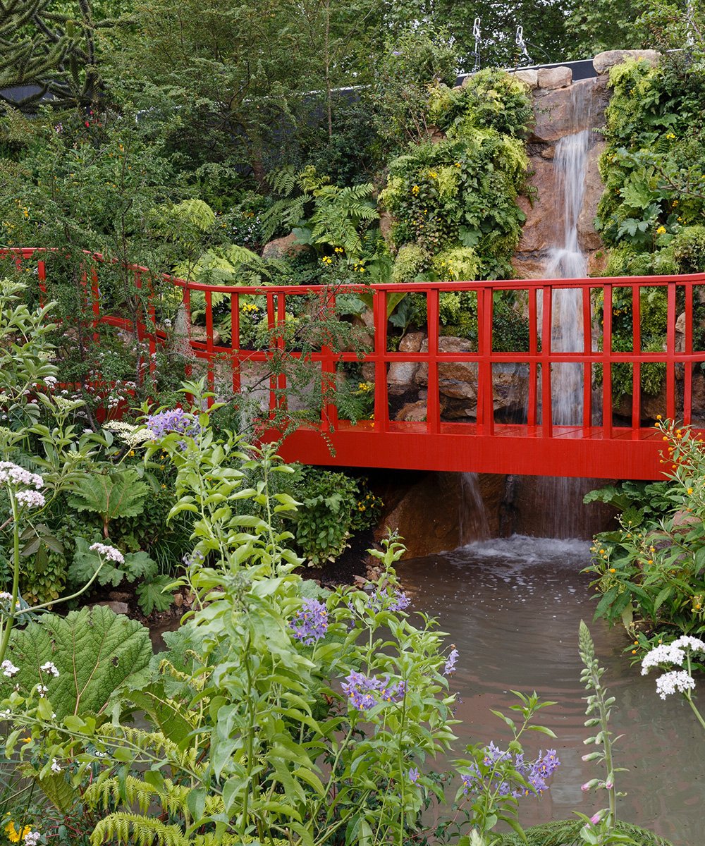 chelsea flower show winners: gold, silver gilt, silver and bronze