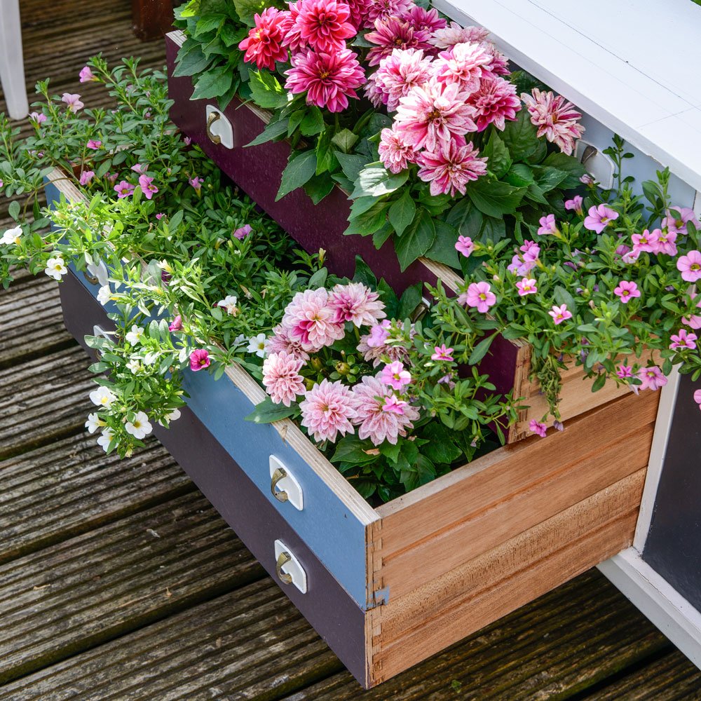 budget garden ideas – cheap design changes that have instant impact