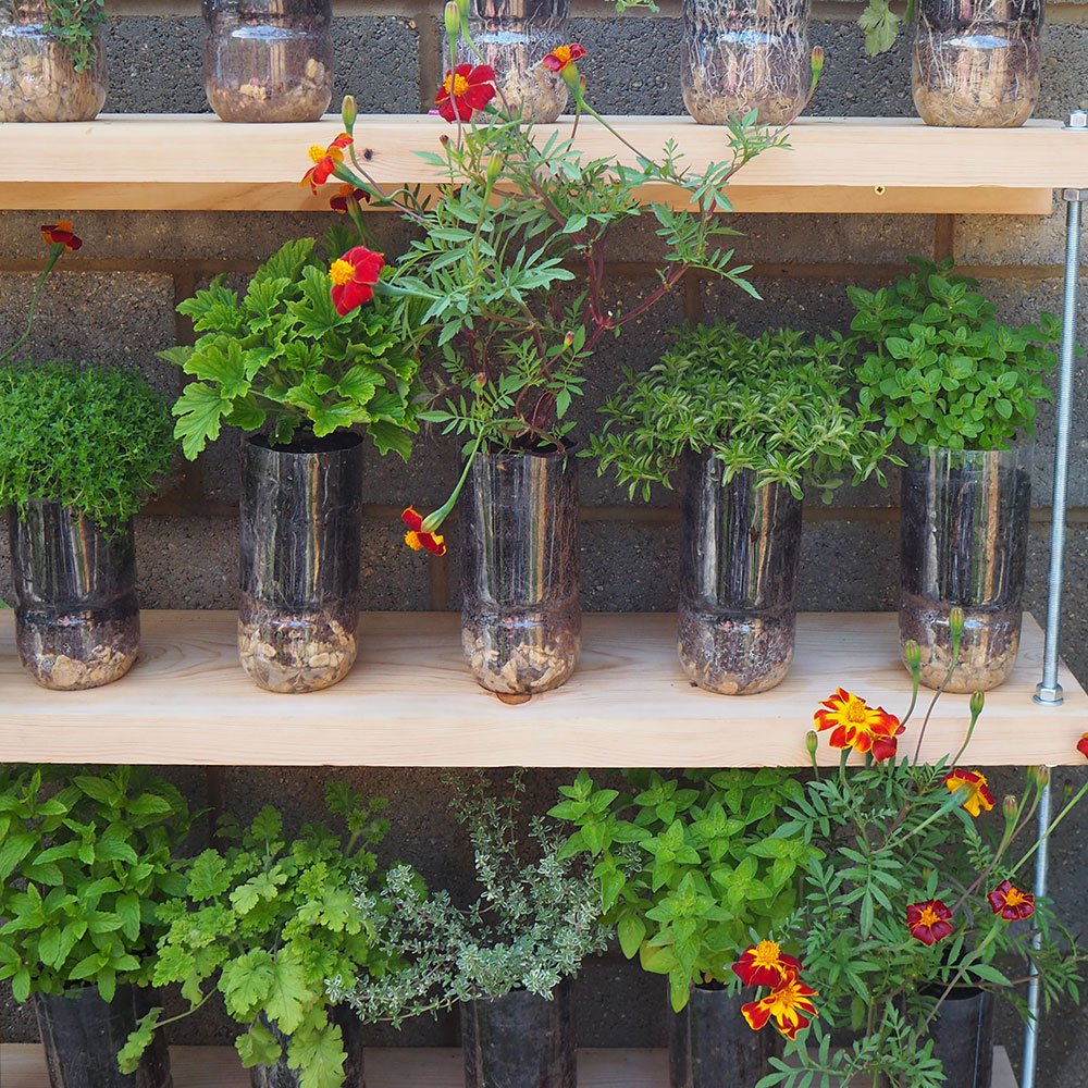 budget garden ideas – cheap design changes that have instant impact