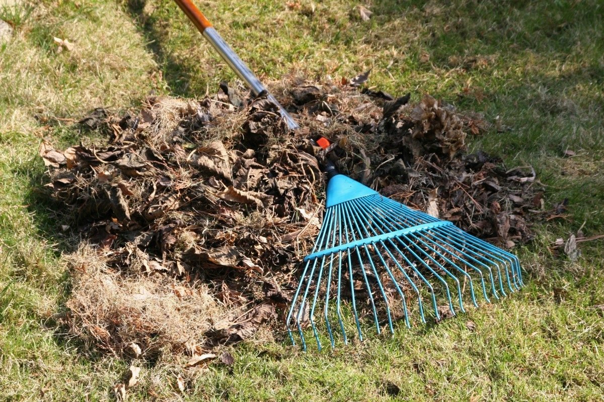 spring-cleanup | sse landscape contractors