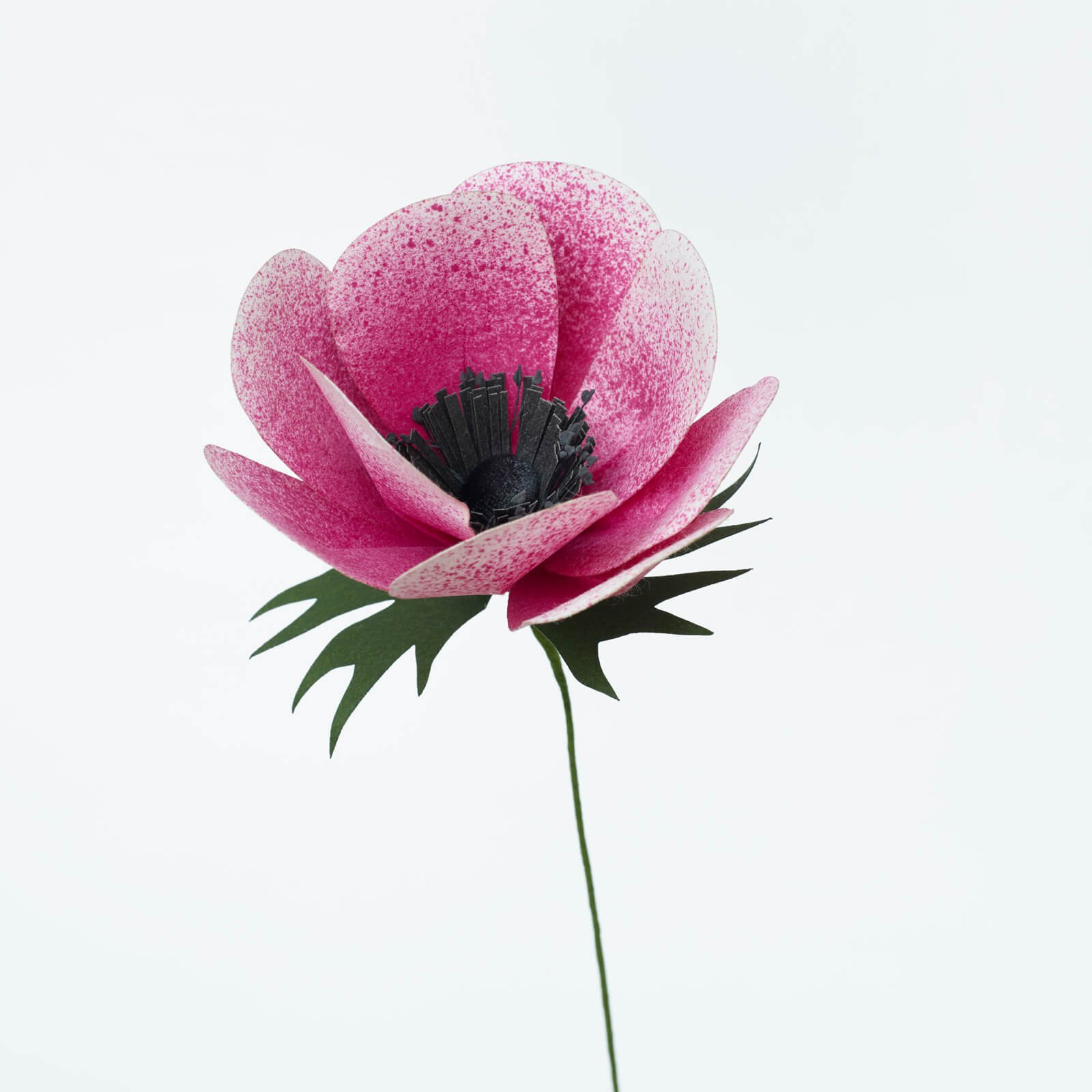 an event produced by the japanese-paper flower brand, "paper eden