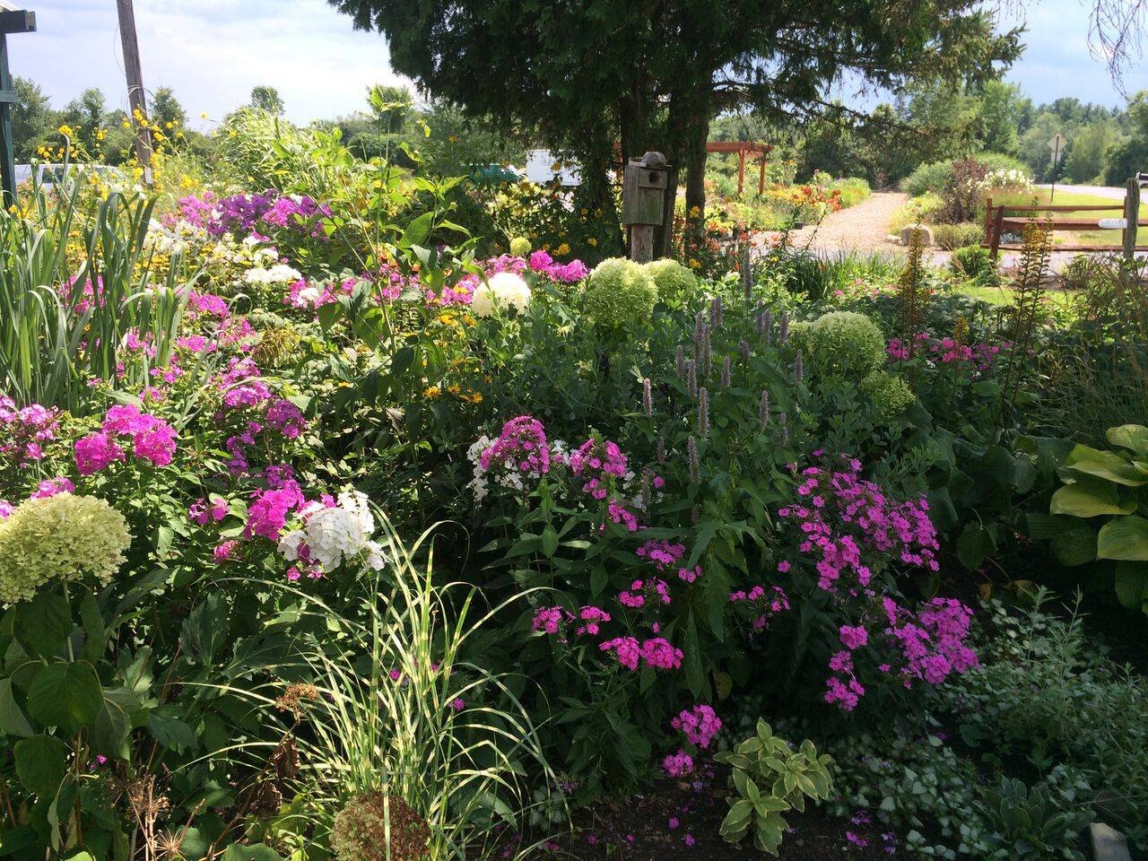 get gardening with our spring classes – balet flowers and design