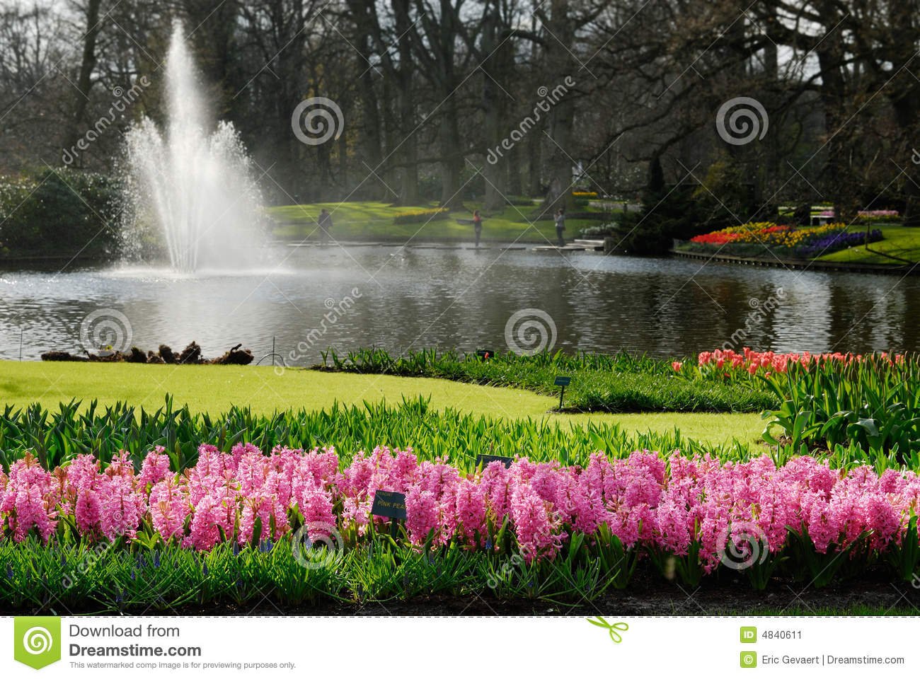 beautiful flower garden stock image. image of classic - 4840611