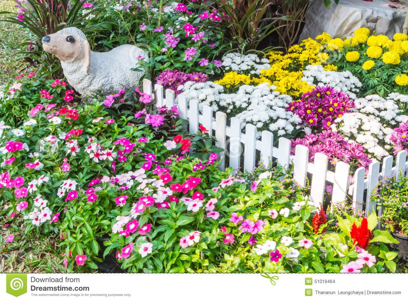 beautiful flower garden. stock photo. image of home, leisure - 51019464
