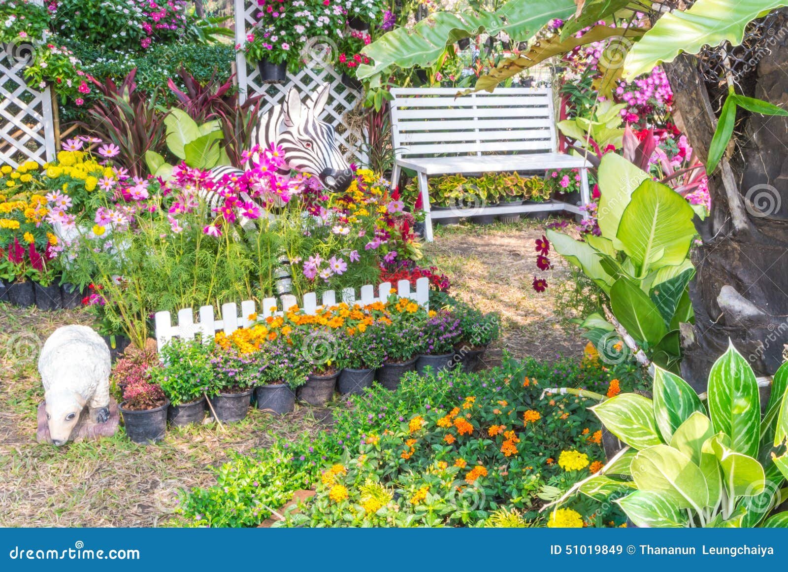 beautiful flower garden. stock image. image of leisure - 51019849