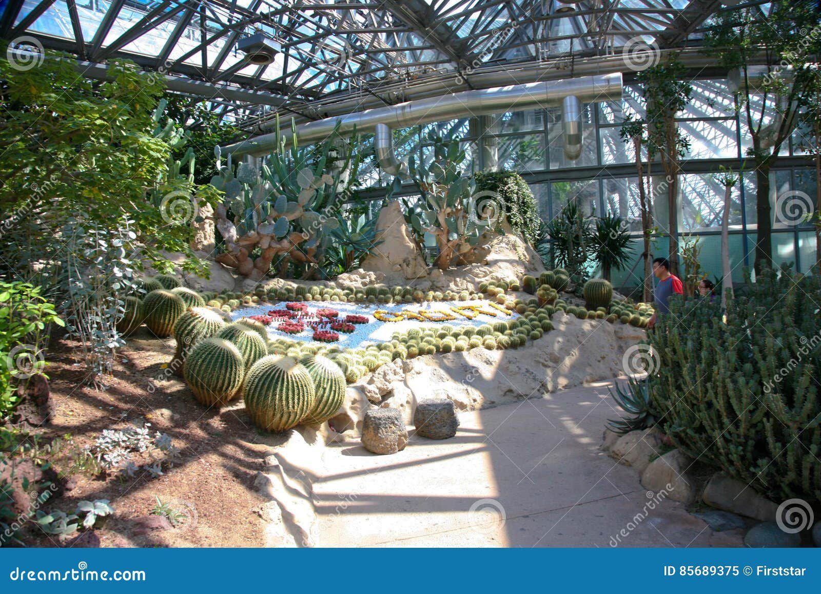 botanical garden in jeju island, botanical garden,volcanic island