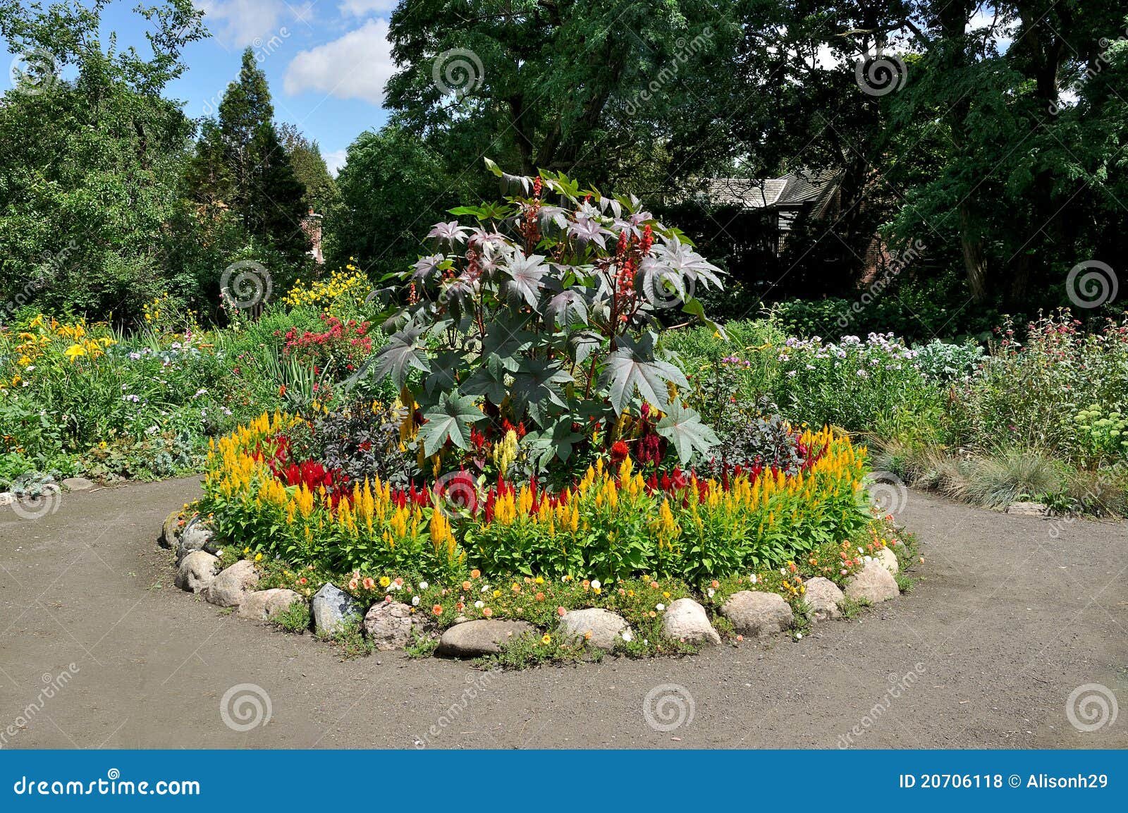 circular flower bed stock photo. image of driveway, earth - 20706118